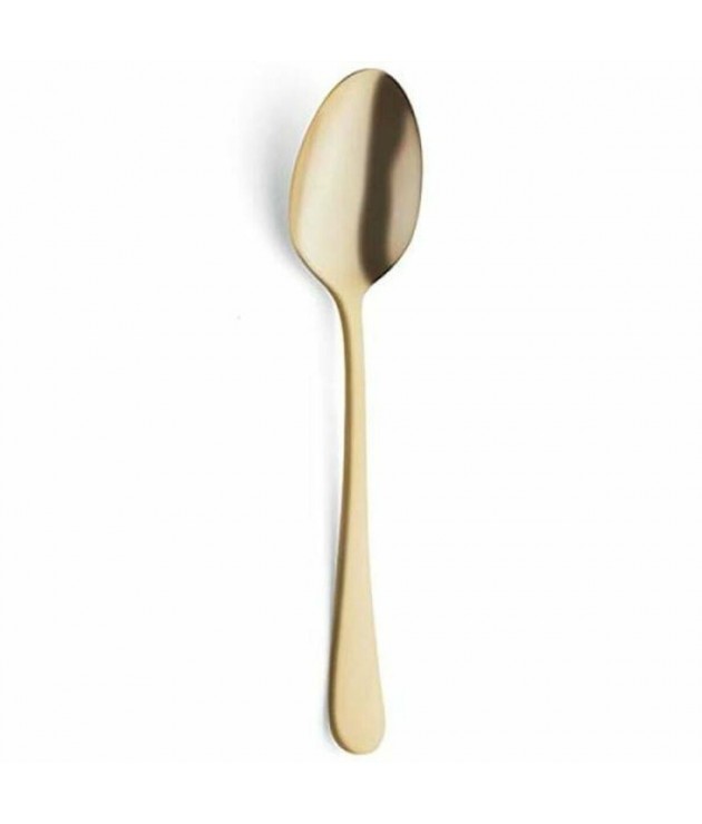 Spoon Amefa Austin Gold 20,5 cm - 2,5 mm 12 Units