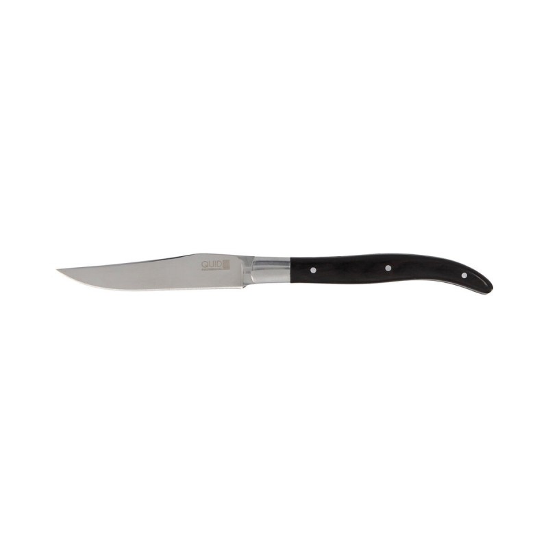 Meat Knife Quid Professional Narbona Metal Bicoloured (22 cm) (Pack 12