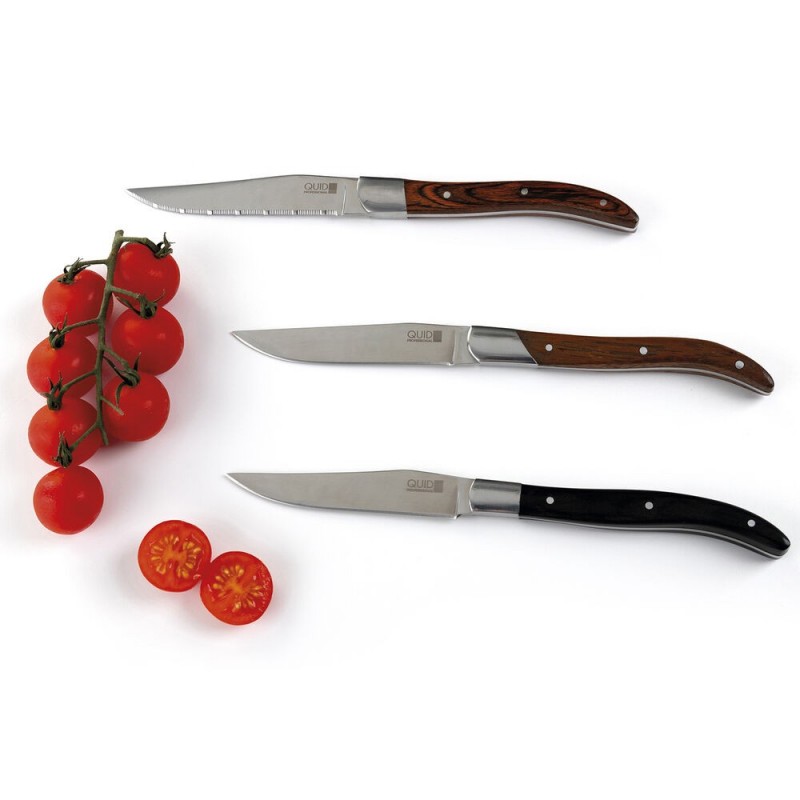 Couteau à viande Quid Professional Narbona Métal Bicolore (22 cm) (Pac